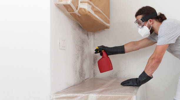 Professional Bathroom Mold Removal technician working in Firestone, CO